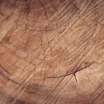 Het ultieme gids om de perfecte houtklover te kopen en je outdoorwerkzaamheden naar een hoger niveau te tillen